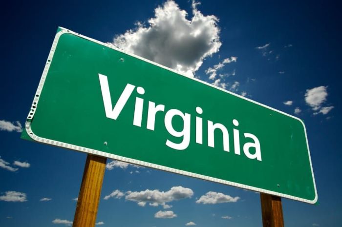 Virginia signs state sign welcome road states va welcomes known bird important why cardinal united people usa founded amazing norfolk