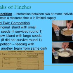 The beaks of finches student laboratory packet answer key