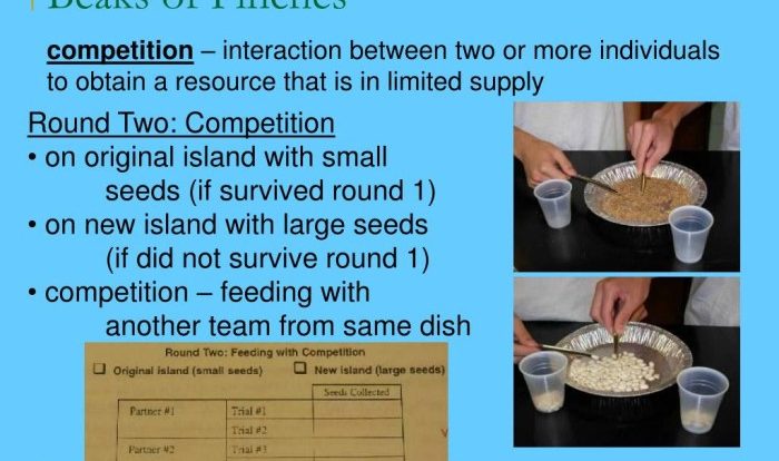 The beaks of finches student laboratory packet answer key